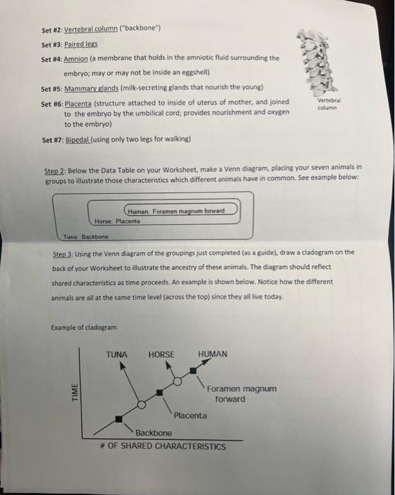 Solved Use the following cladogram to answer the questions | Chegg.com