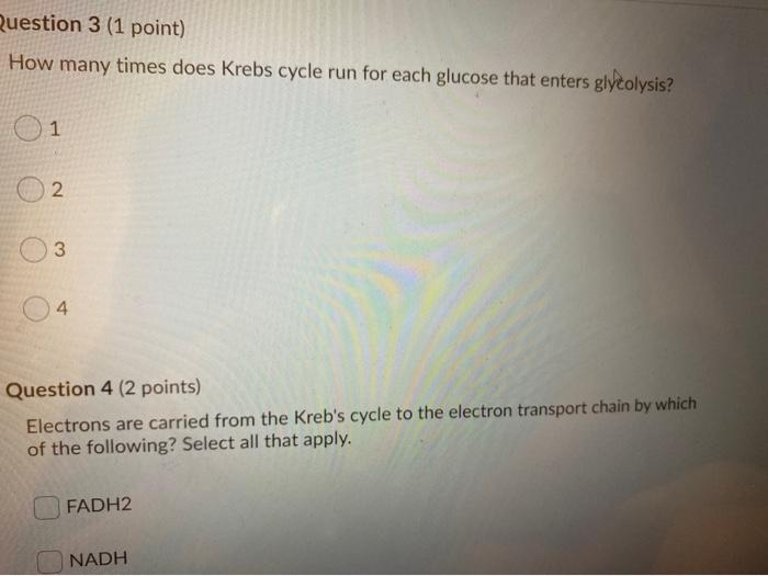 Solved Question 3 (1 Point) How Many Times Does Krebs Cycle | Chegg.com