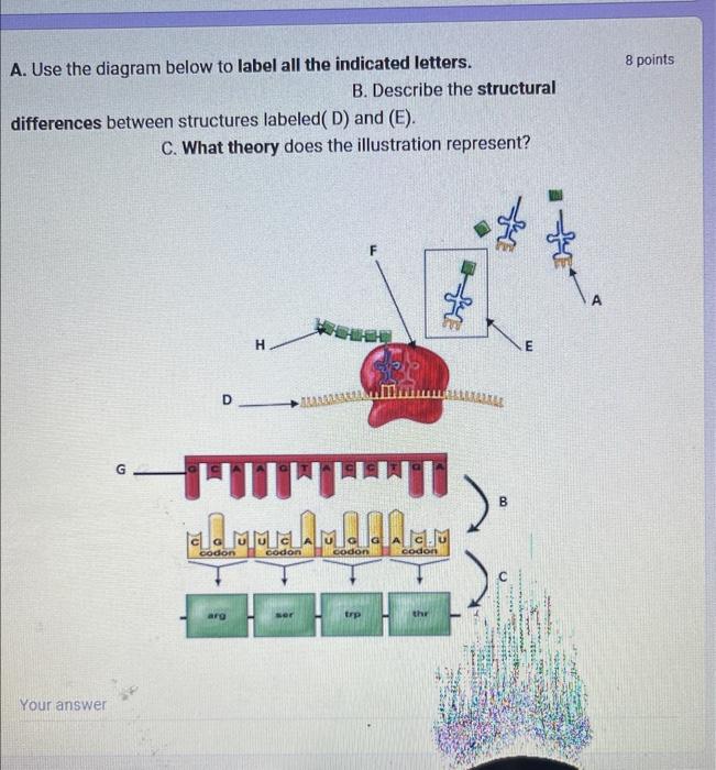 Solved A. Use the diagram below to label all the indicated | Chegg.com