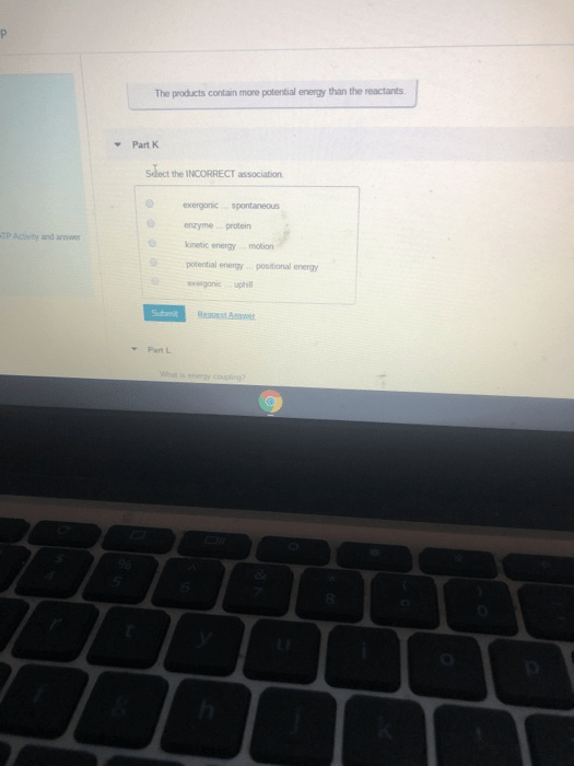 Solved The Products Contain More Potential Energy Than The | Chegg.com