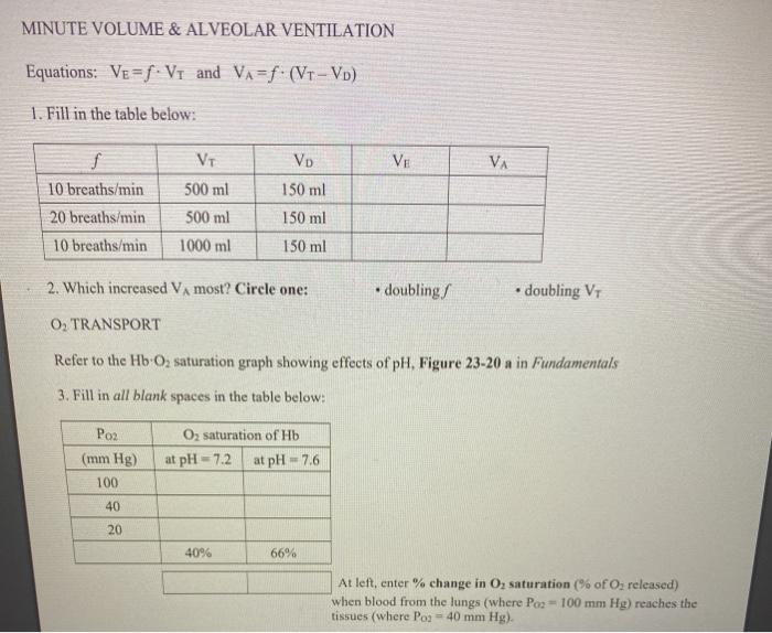 Solved MINUTE VOLUME & ALVEOLAR VENTILATION Equations