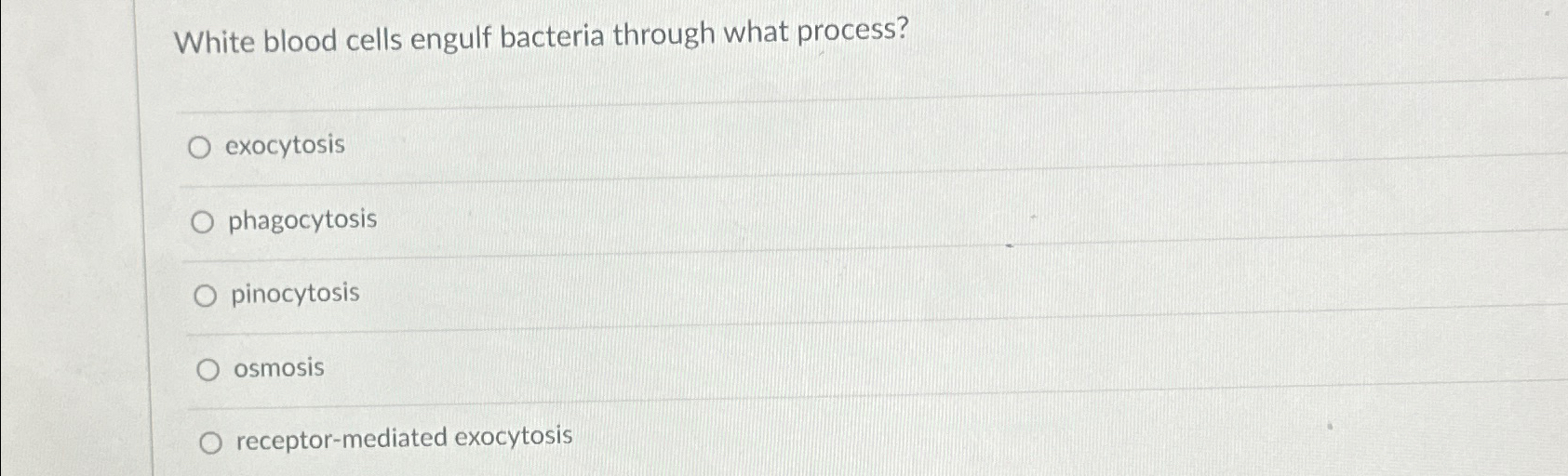 Solved White blood cells engulf bacteria through what