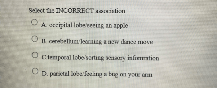 Solved Select The Incorrect Association: O A. Occipital | Chegg.com