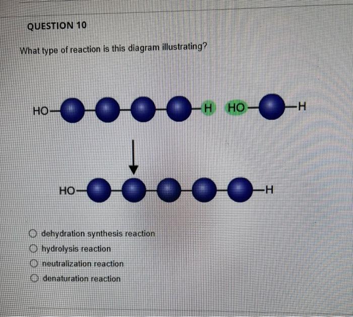 Solved What type of reaction is this diagram illustrating? | Chegg.com