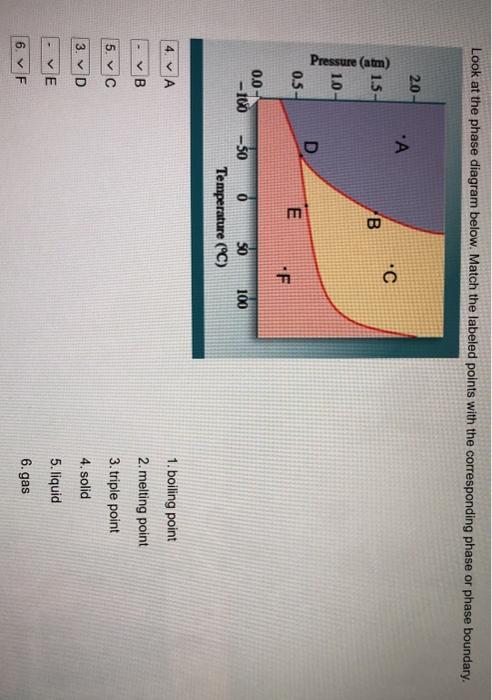 Solved Look at the phase diagram below. Match the labeled | Chegg.com