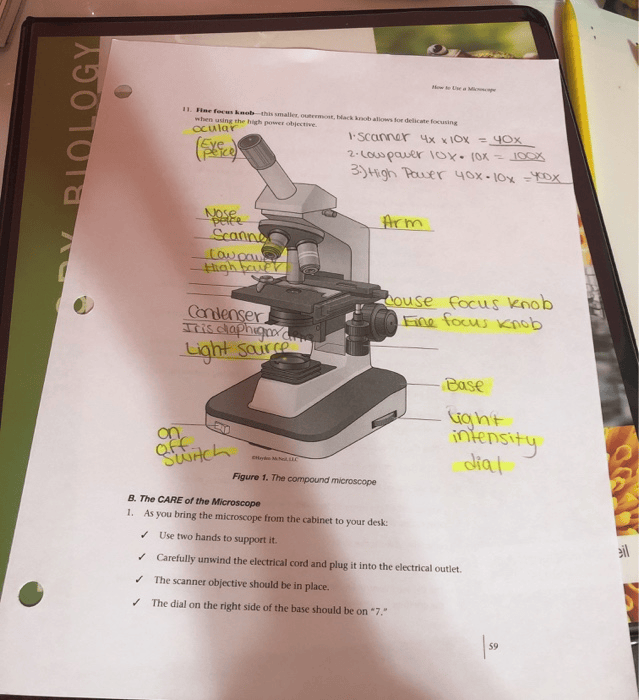 Compound Microscope Light Intensity Knob Micropedia