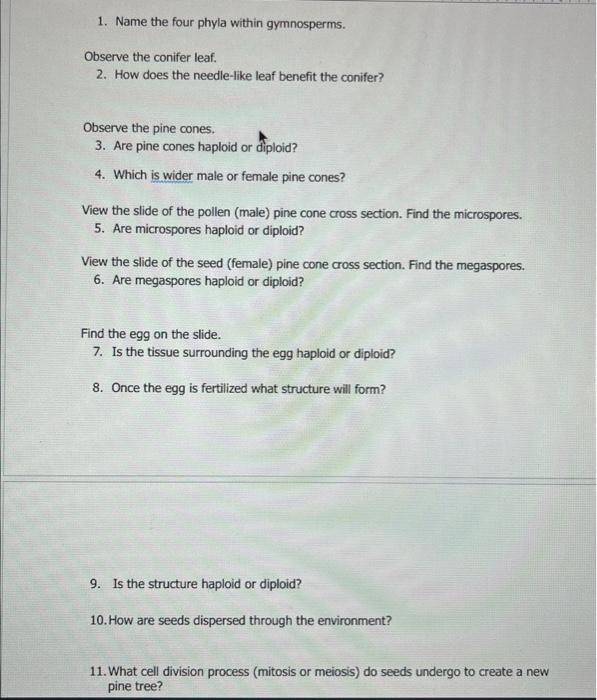 Solved 1. Is the green "leaf like" tissue gametophyte or