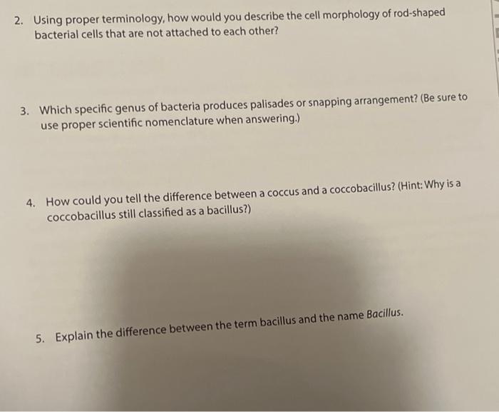 Solved 2. Using Proper Terminology, How Would You Describe | Chegg.com