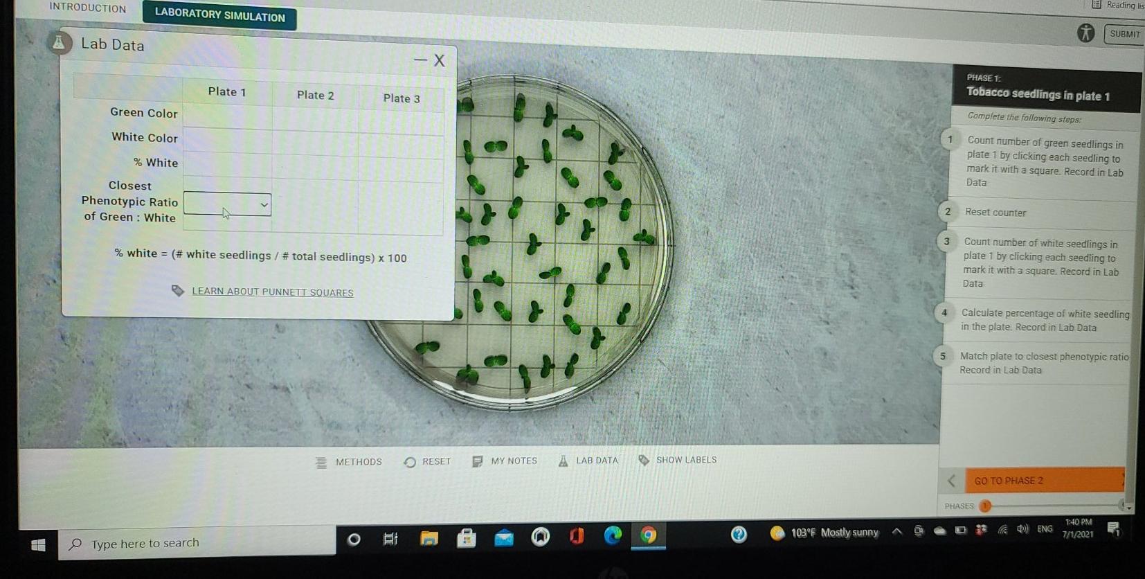 MENDELIAN MONOHYBRID PLANT CROSS 2 Reading