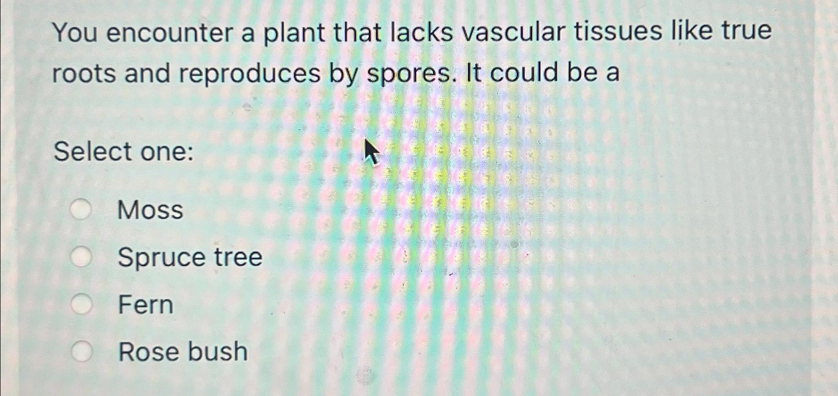 Solved You encounter a plant that lacks vascular tissues