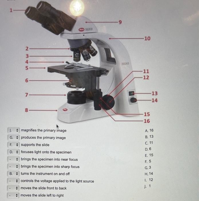 Solved Using the following image of a compound light