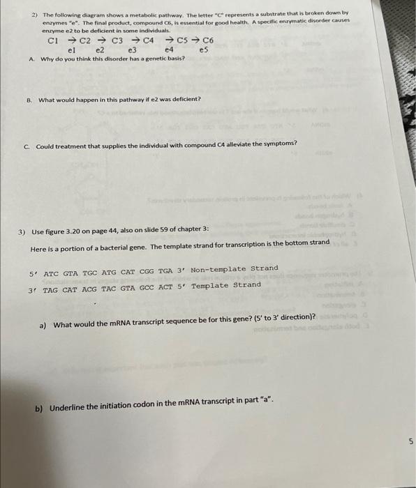 Solved 8) Why do plants, like lily's, have 100 times more