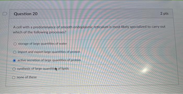 Solved Question 20 2 Pts A Cell With A Predominance Of | Chegg.com
