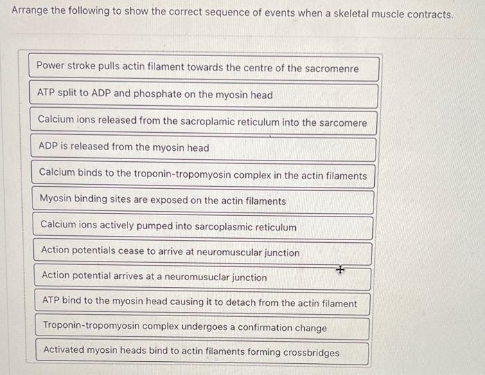 Solved Arrange The Following To Show The Correct Sequence Of | Chegg.com