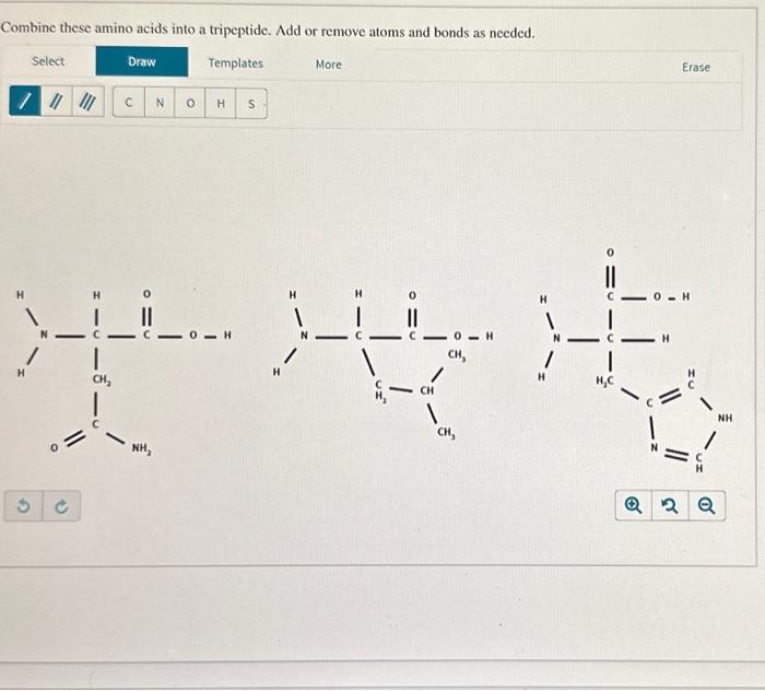 Solved Combine these amino acids into a tripeptide. Add or