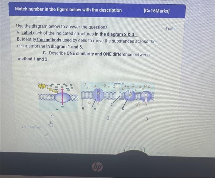 Solved Use the diagram below to answer the questions. A. | Chegg.com