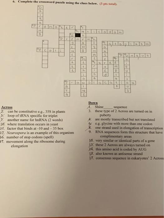 Solved 6. Complete the crossword puzzle using the clues | Chegg.com