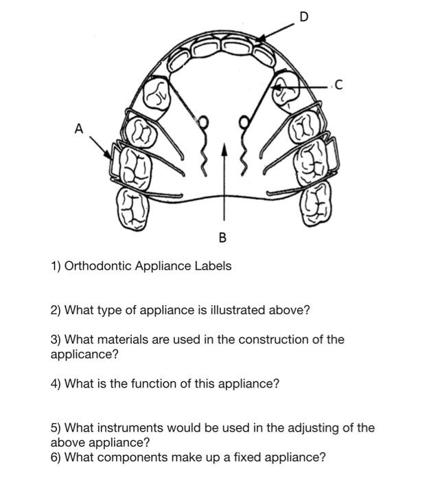 Solved 1) Orthodontic Appliance Labels2) What type of