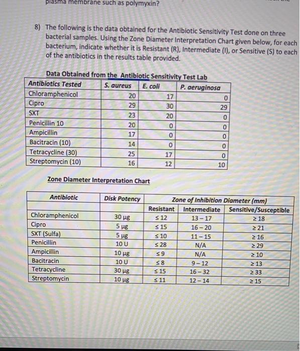 Solved Evaluation of Antibiotics Kirby Bauer Method (1)