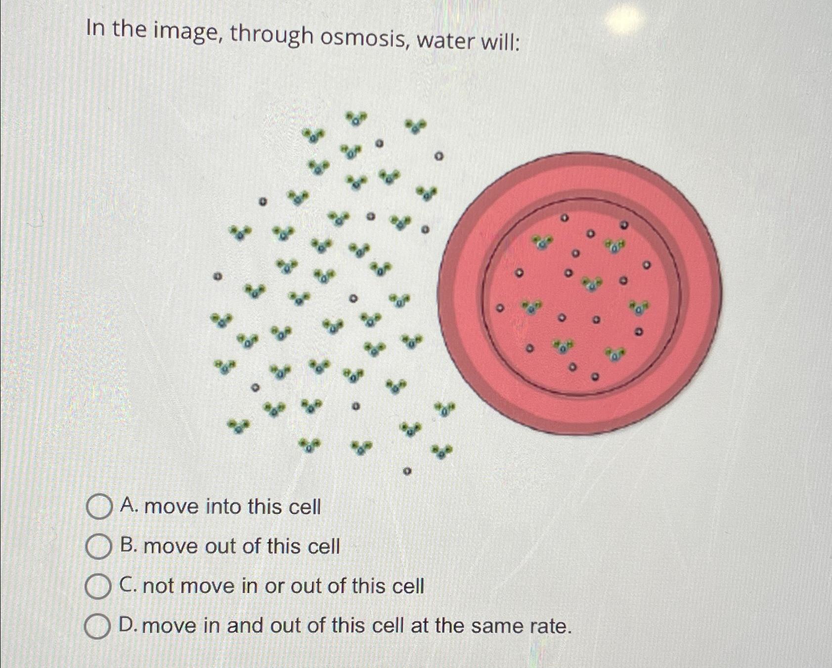 Solved In the image, through osmosis, water will:A. ﻿move | Chegg.com
