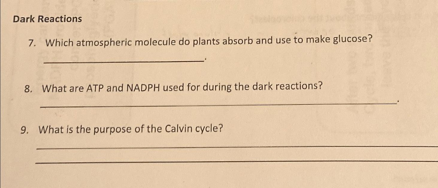 Solved Dark Reactions7. ﻿Which atmospheric molecule do