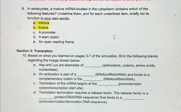 Solved I Section 2: Transcription and RNA Processing 6. | Chegg.com
