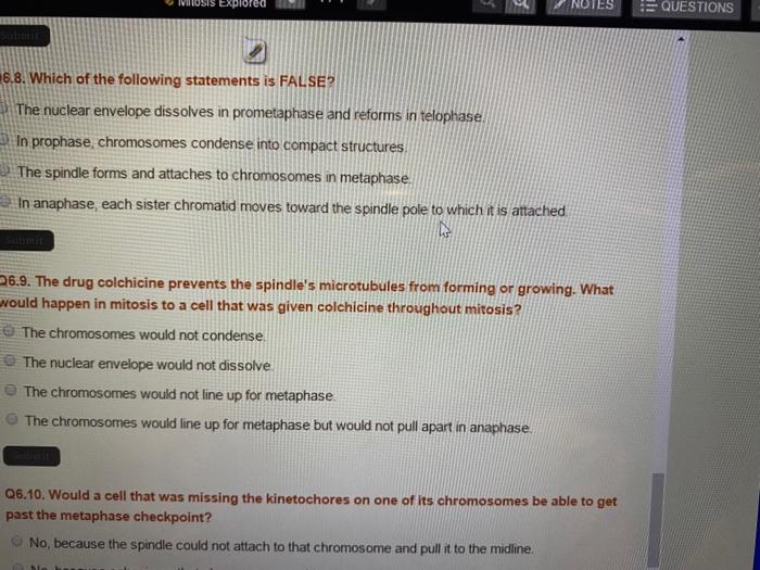 Solved Nosis Explored Notes Questions 6.8. Which Of The | Chegg.com