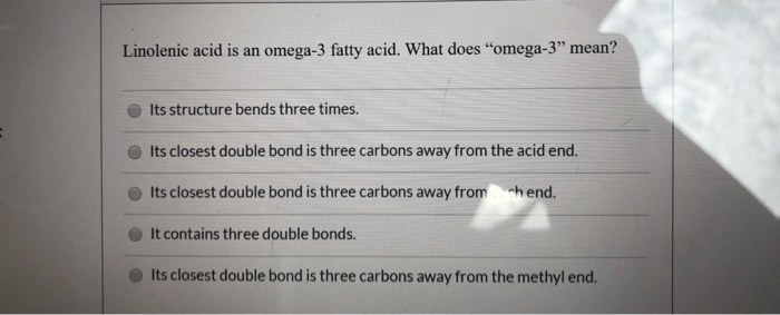 Solved Which Part Of The GI Tract Does Not Actively Diges...