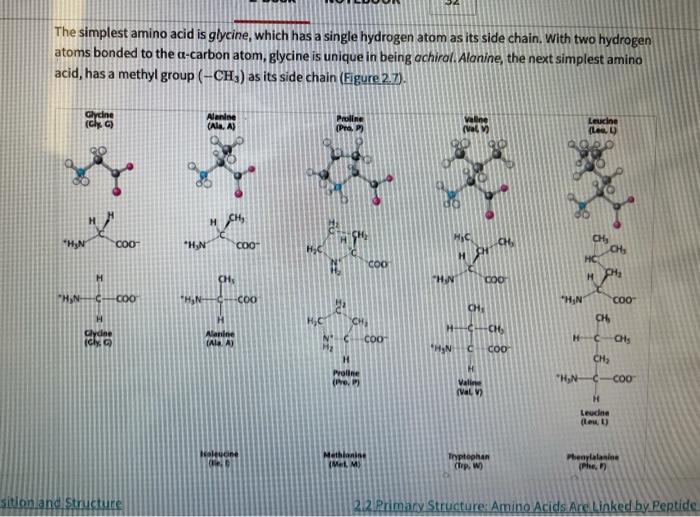 Solved The simplest amino acid is glycine, which has a