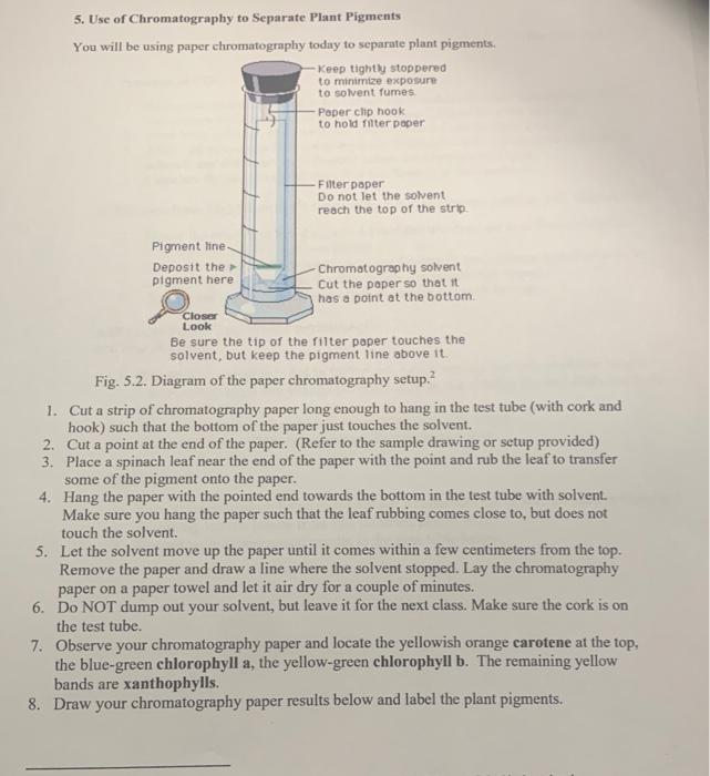 5. Use of Chromatography to Separate Plant Pigments