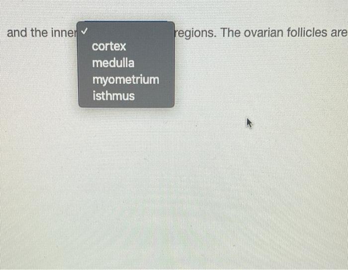 Solved The ovary is composed of the outer former and blood