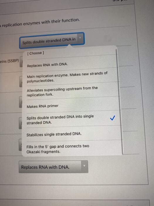 Solved Match the following DNA replication enzymes with