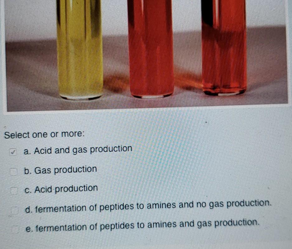 Solved In the phenol broth red test (shown below), a yellow