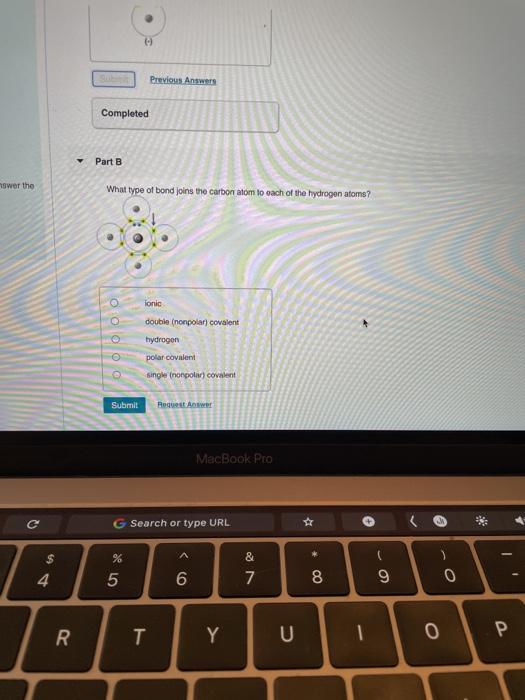 Solved Previous Answers Completed Part B Nswer The What Type | Chegg.com
