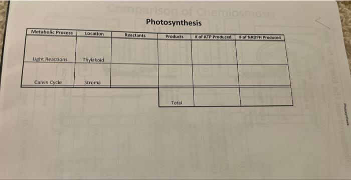Solved Photosynthesis | Chegg.com