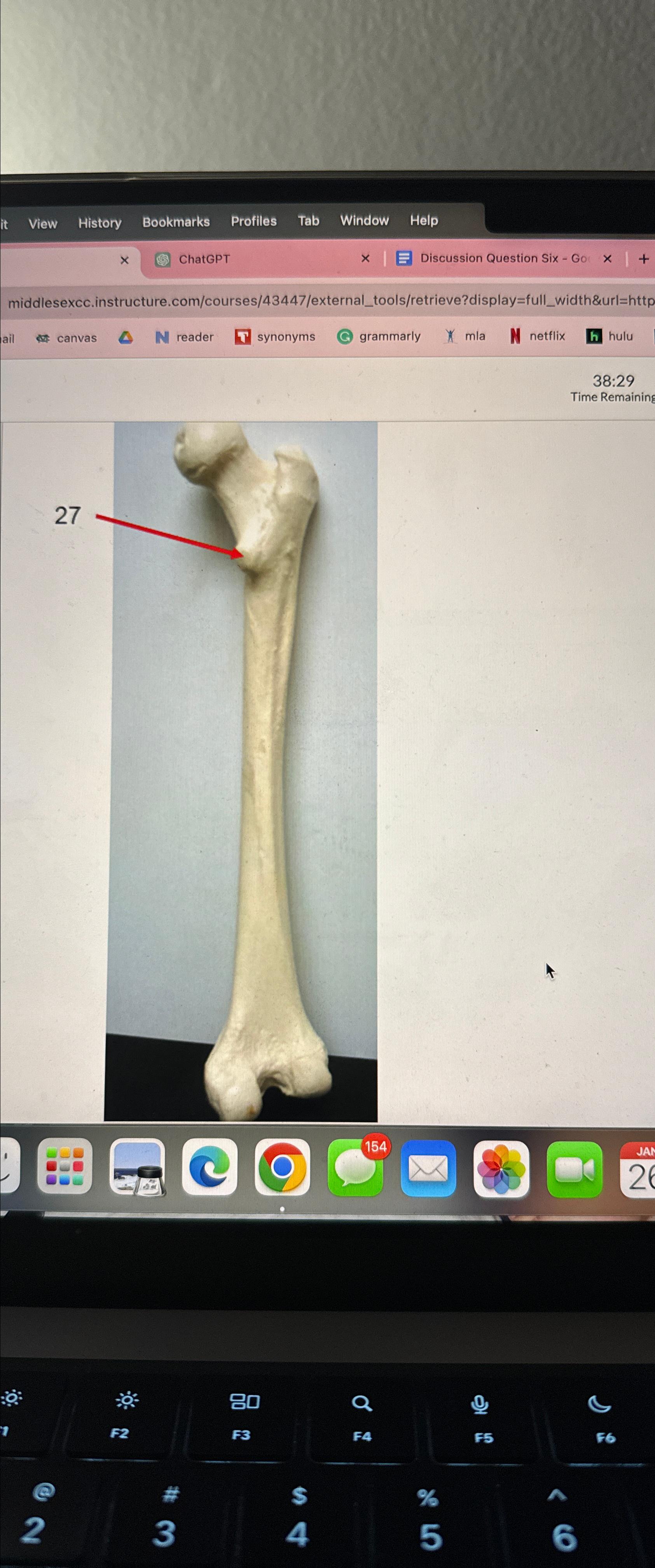 Solved Identify the structure numbered 27 | Chegg.com
