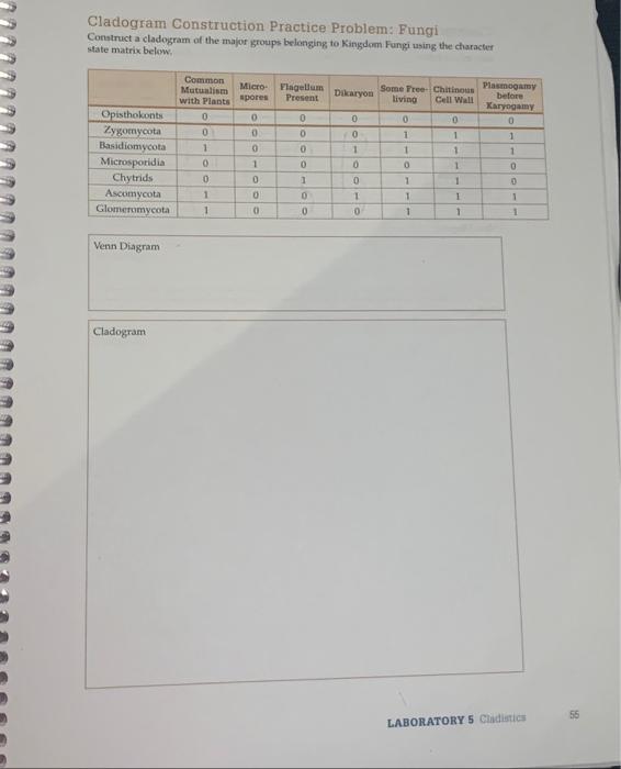 Solved Cladogram Construction Practice Problem: | Chegg.com