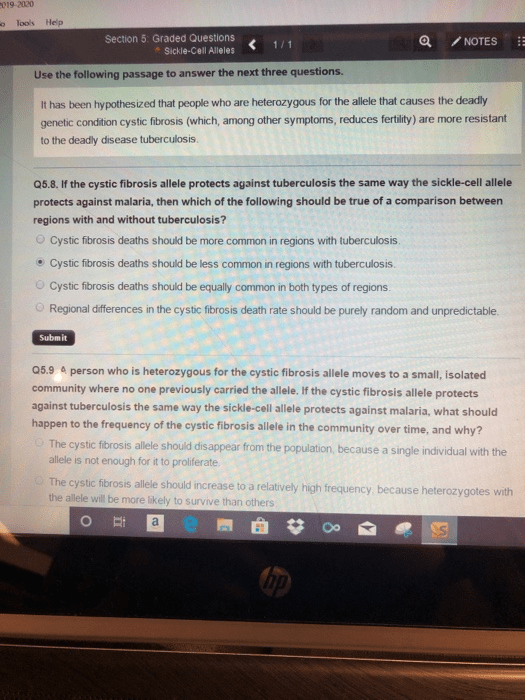 C0192020 Tools Help Section 5 Graded Questions