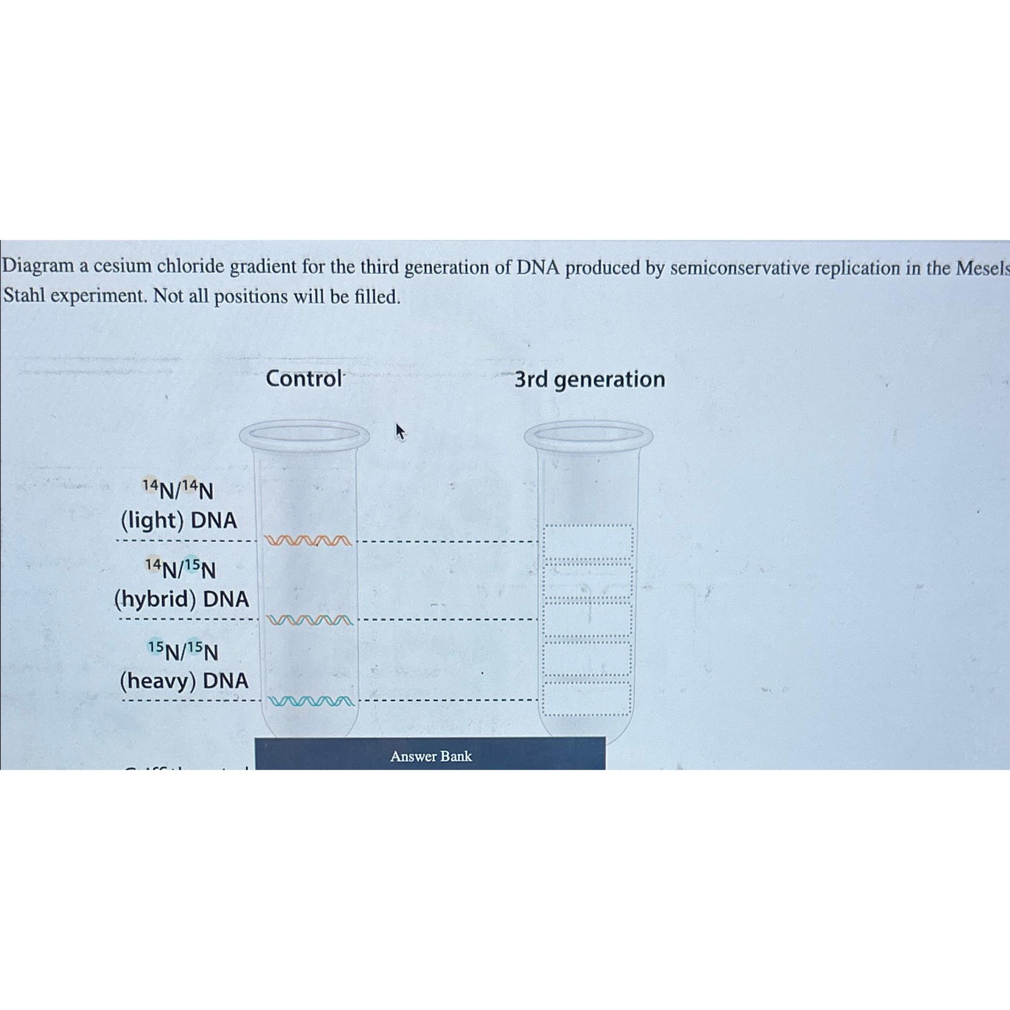 Solved Diagram a cesium chloride gradient for the third | Chegg.com