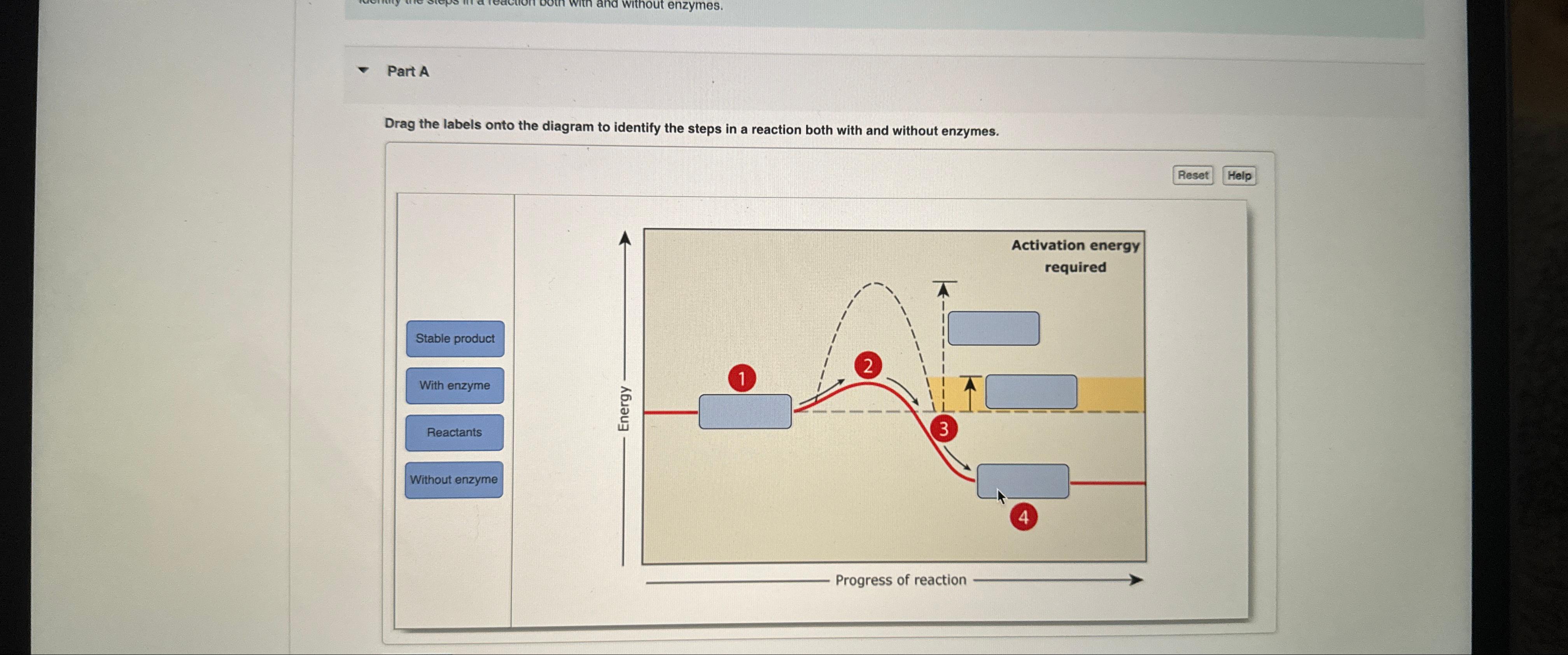 Solved Part ADrag the labels onto the diagram to identify | Chegg.com