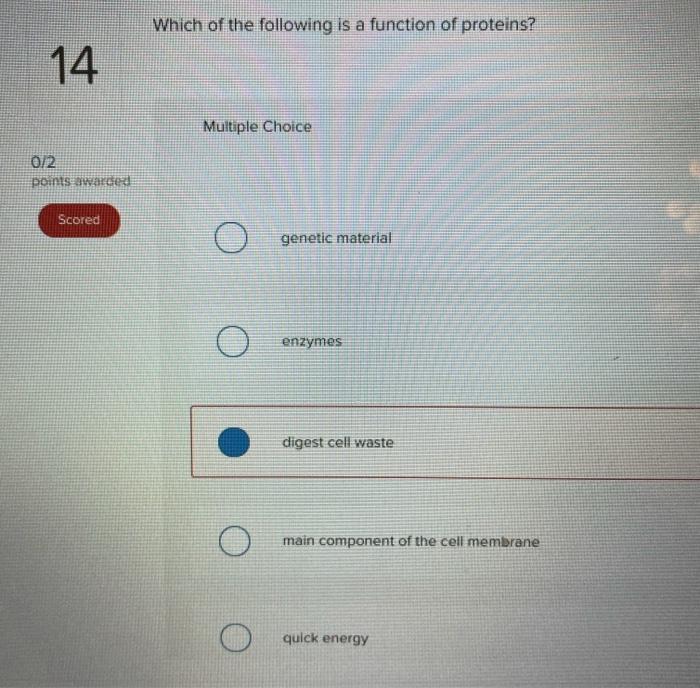 Solved Which of the following is a function of proteins? 14 
