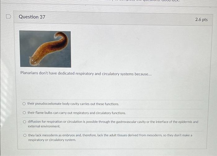 Solved D Question 37 2.6 Pts Planarians Don't Have Dedicated | Chegg.com