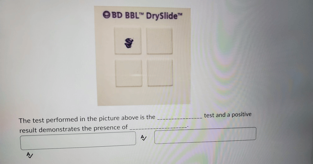 OBD BBL™ DrySlide test and a positive The test