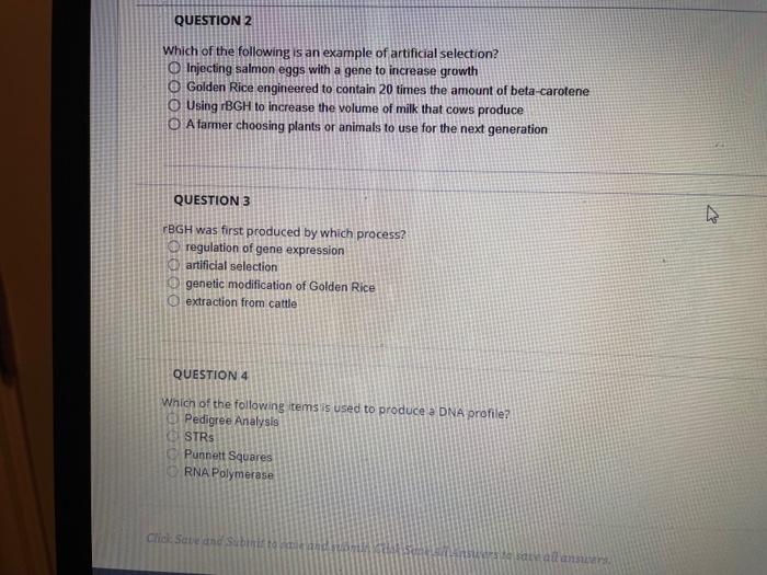 Solved Which of the following is an example of artificial