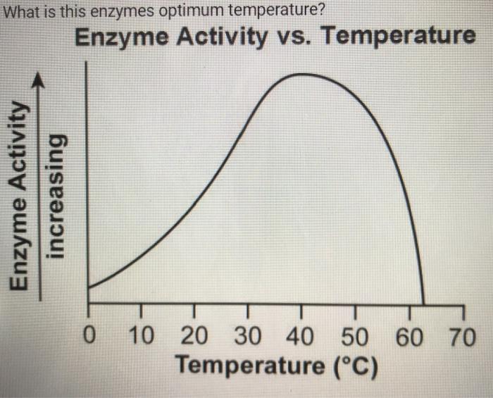 Solved What is this enzymes optimum temperature? Enzyme