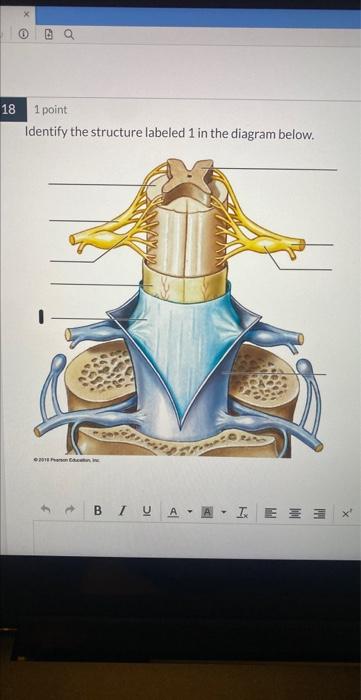 Solved Identify the structure labeled 1 in the diagram | Chegg.com