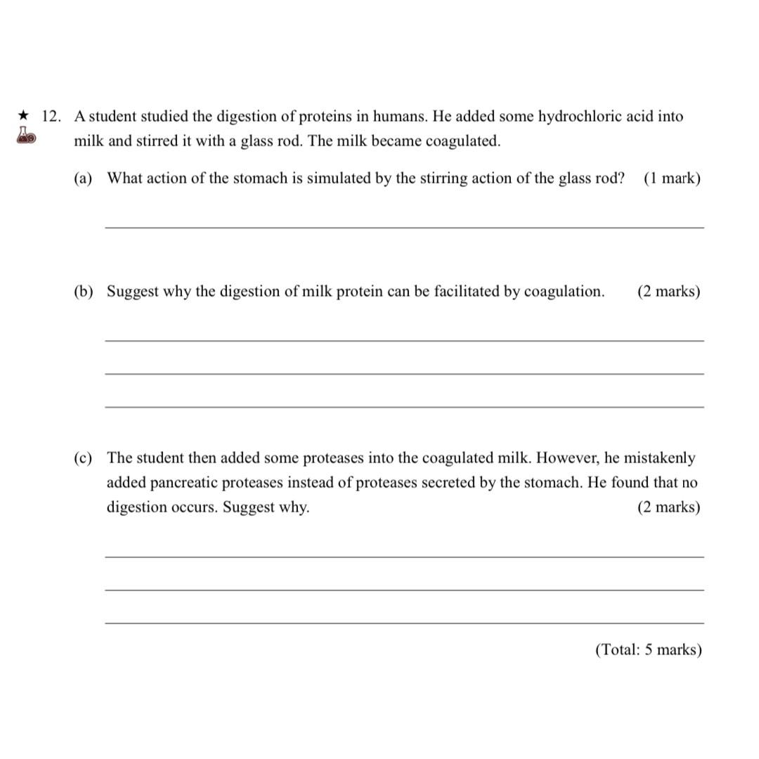 Solved A student studied the digestion of proteins in