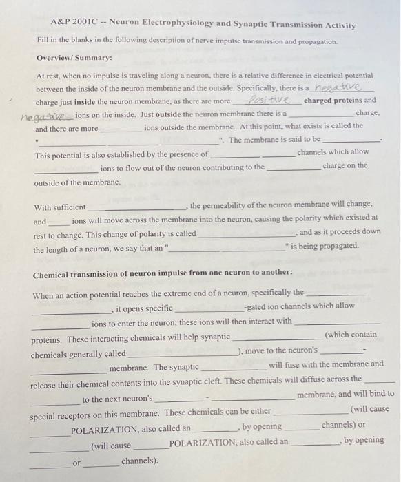 Solved A&P 2001C -- Neuron Electrophysiology and Synaptic | Chegg.com