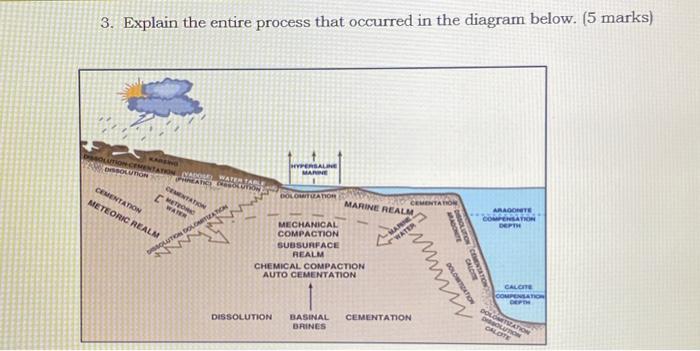 Solved 3. Explain the entire process that occurred in the | Chegg.com