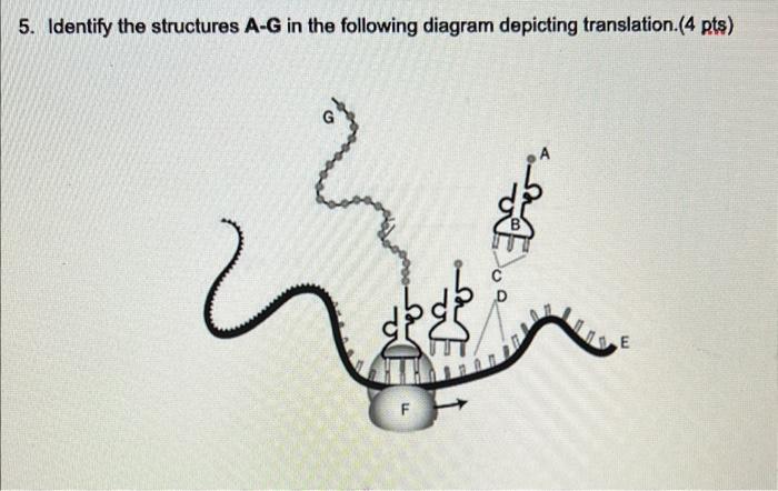 Solved 5. Identify the structures A-G in the following | Chegg.com